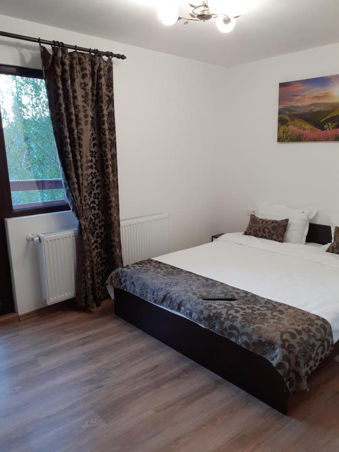 Apartament Casa Mosoiu Bran  Zewnętrze zdjęcie