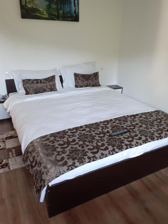 Apartament Casa Mosoiu Bran  Zewnętrze zdjęcie
